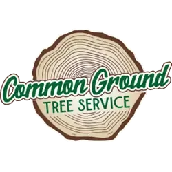 Common Ground Tree Service